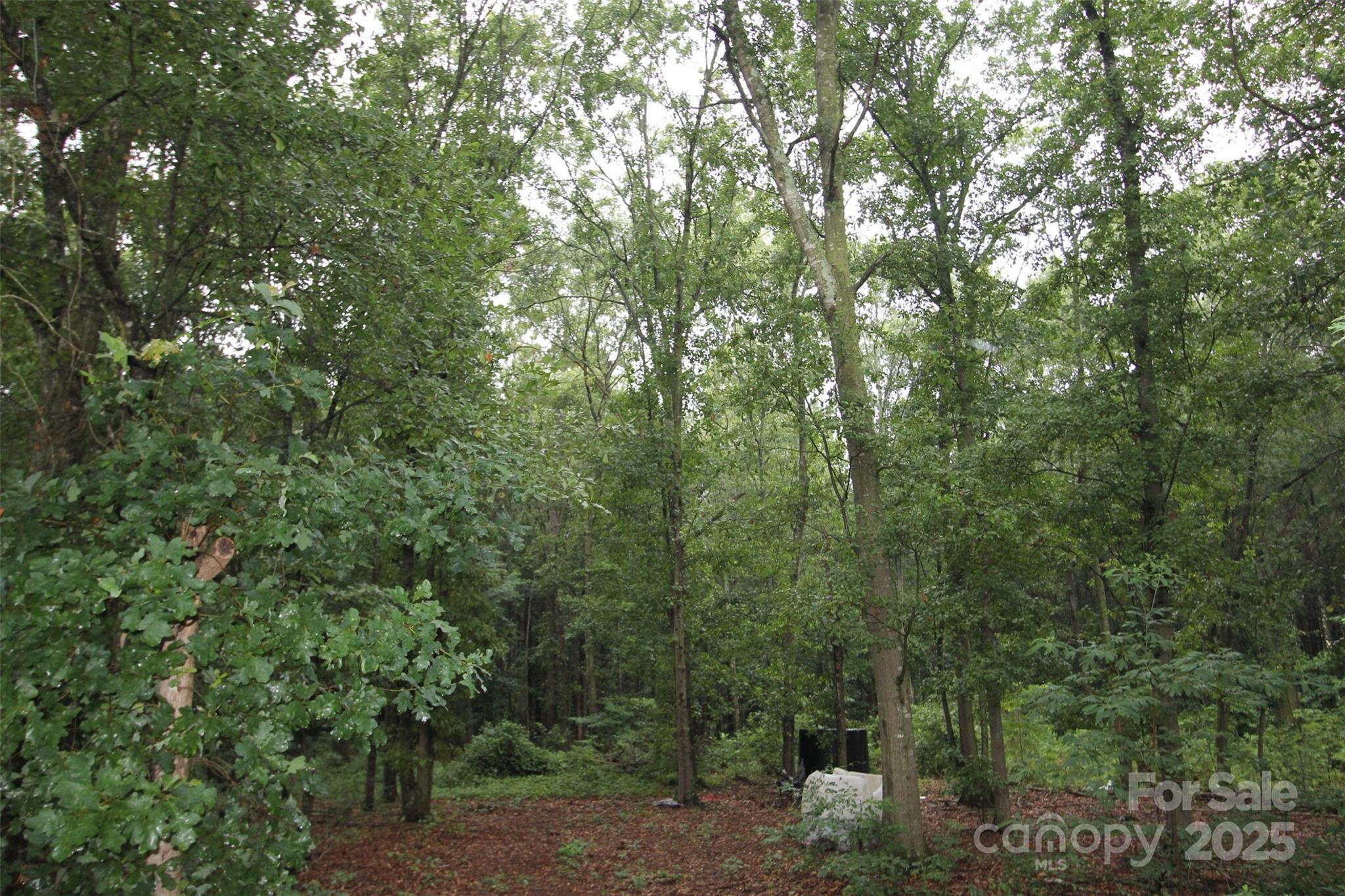 Tbd Rainbow Road Wadesboro NC 28170