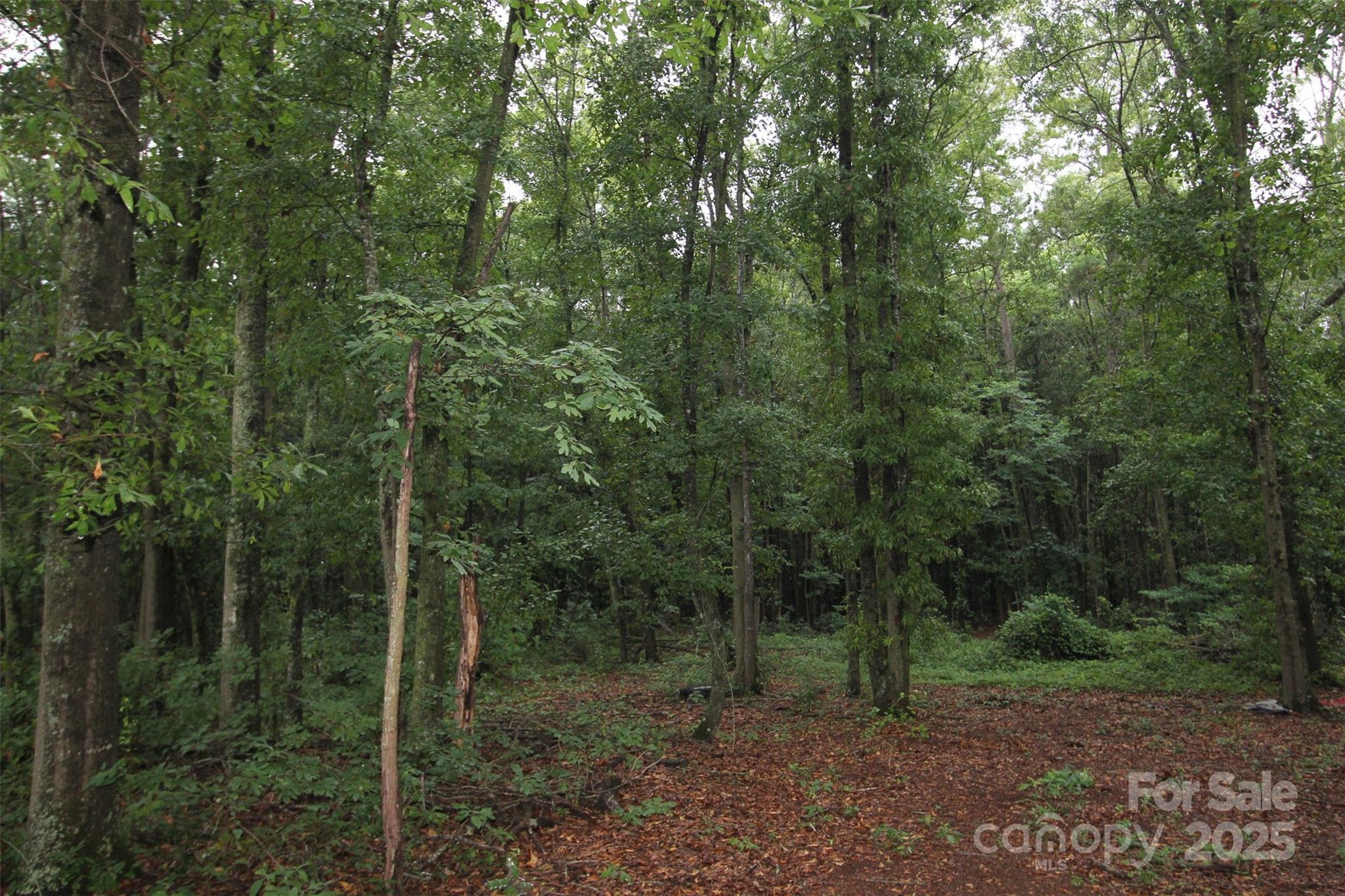 Tbd Rainbow Road Wadesboro NC 28170