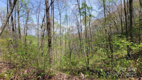 27 Lacy Fern Ridge Sylva NC 28779