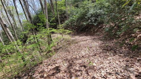 27 Lacy Fern Ridge Sylva NC 28779