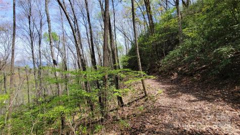 27 Lacy Fern Ridge Sylva NC 28779