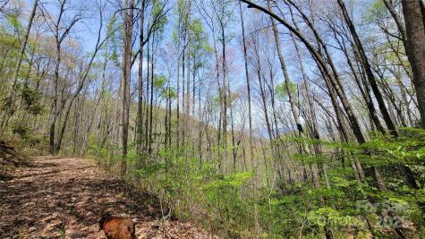 27 Lacy Fern Ridge Sylva NC 28779