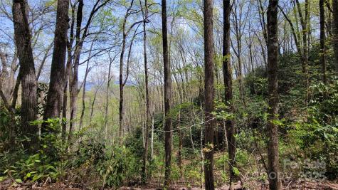 27 Lacy Fern Ridge Sylva NC 28779