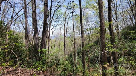 27 Lacy Fern Ridge Sylva NC 28779