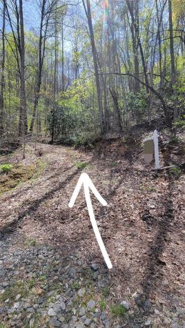 27 Lacy Fern Ridge Sylva NC 28779