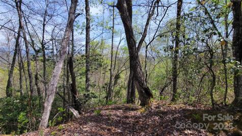 27 Lacy Fern Ridge Sylva NC 28779