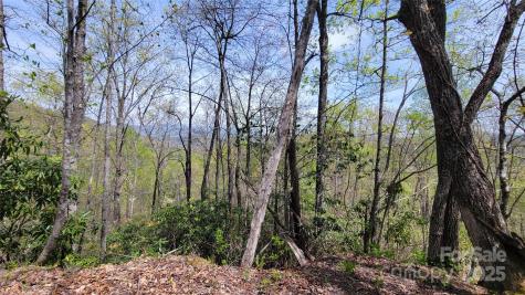 27 Lacy Fern Ridge Sylva NC 28779