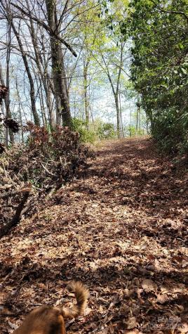 27 Lacy Fern Ridge Sylva NC 28779