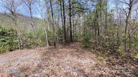 27 Lacy Fern Ridge Sylva NC 28779