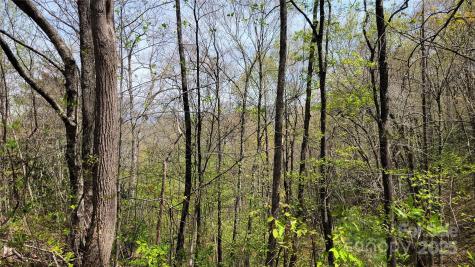 27 Lacy Fern Ridge Sylva NC 28779