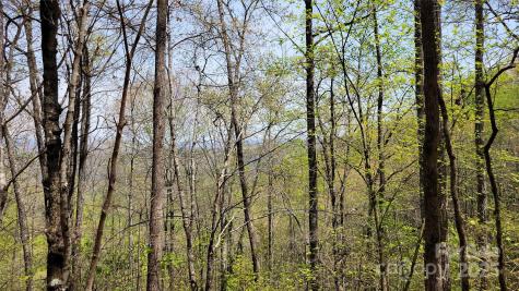 27 Lacy Fern Ridge Sylva NC 28779