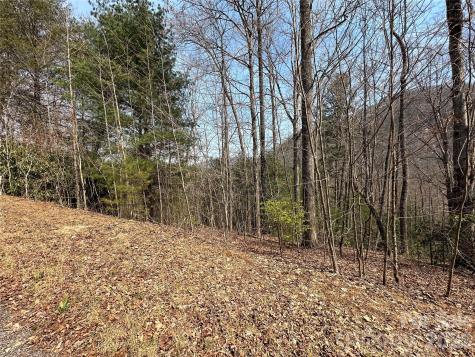 Tbd Wood Stone Drive Hendersonville NC 28792