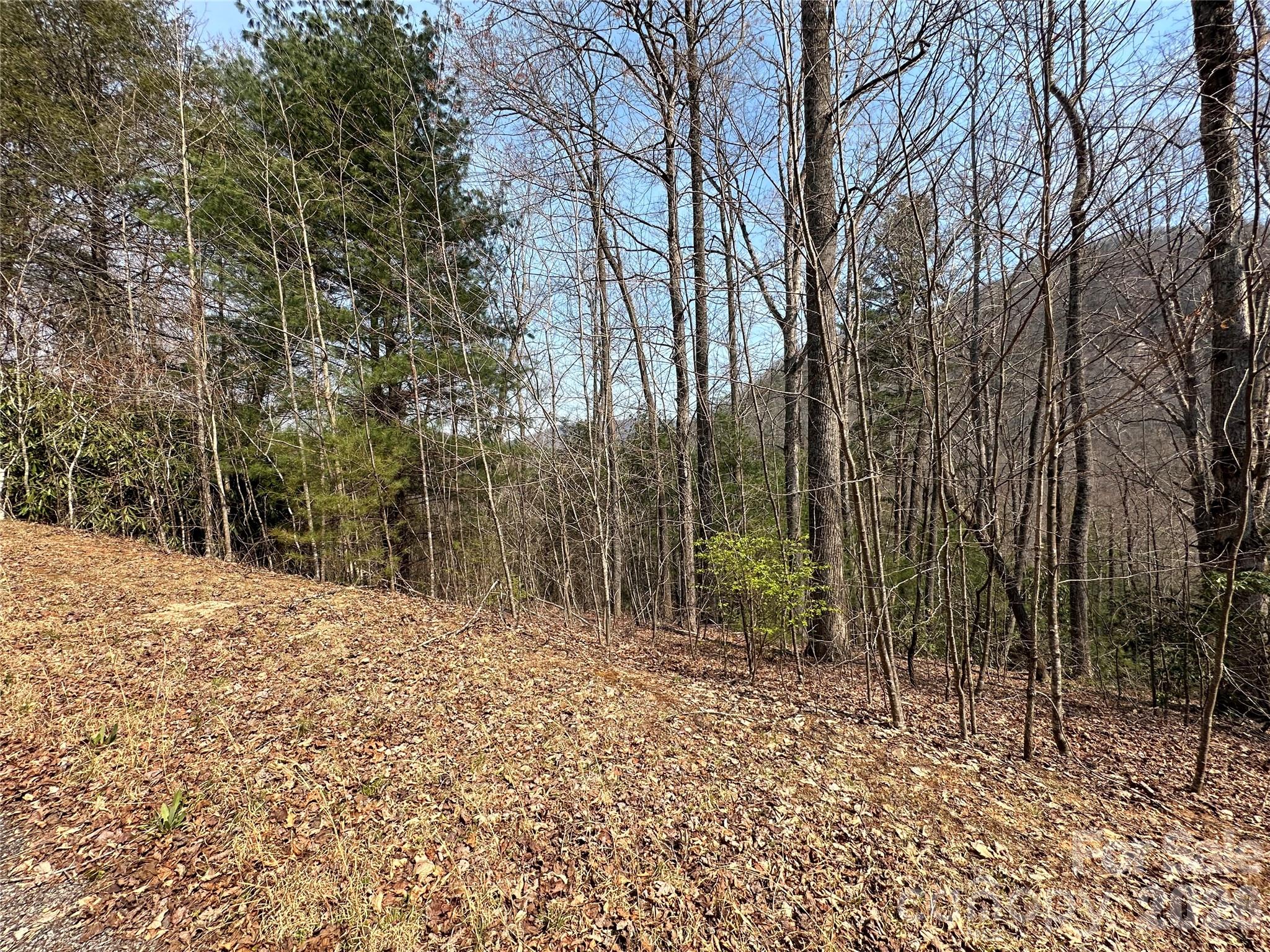 Tbd Wood Stone Drive Hendersonville NC 28792