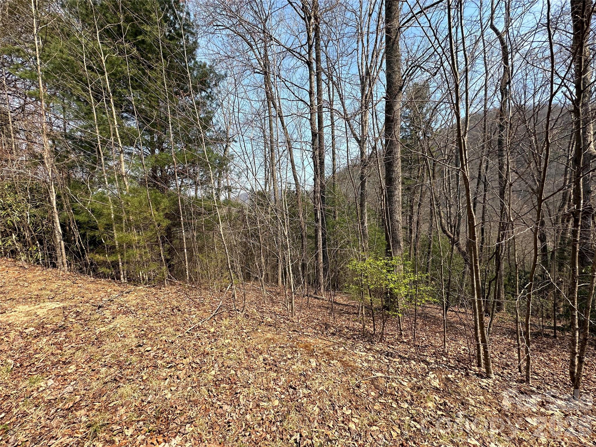Tbd Wood Stone Drive Hendersonville NC 28792