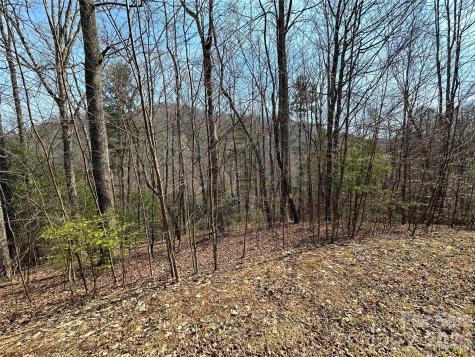 Tbd Wood Stone Drive Hendersonville NC 28792