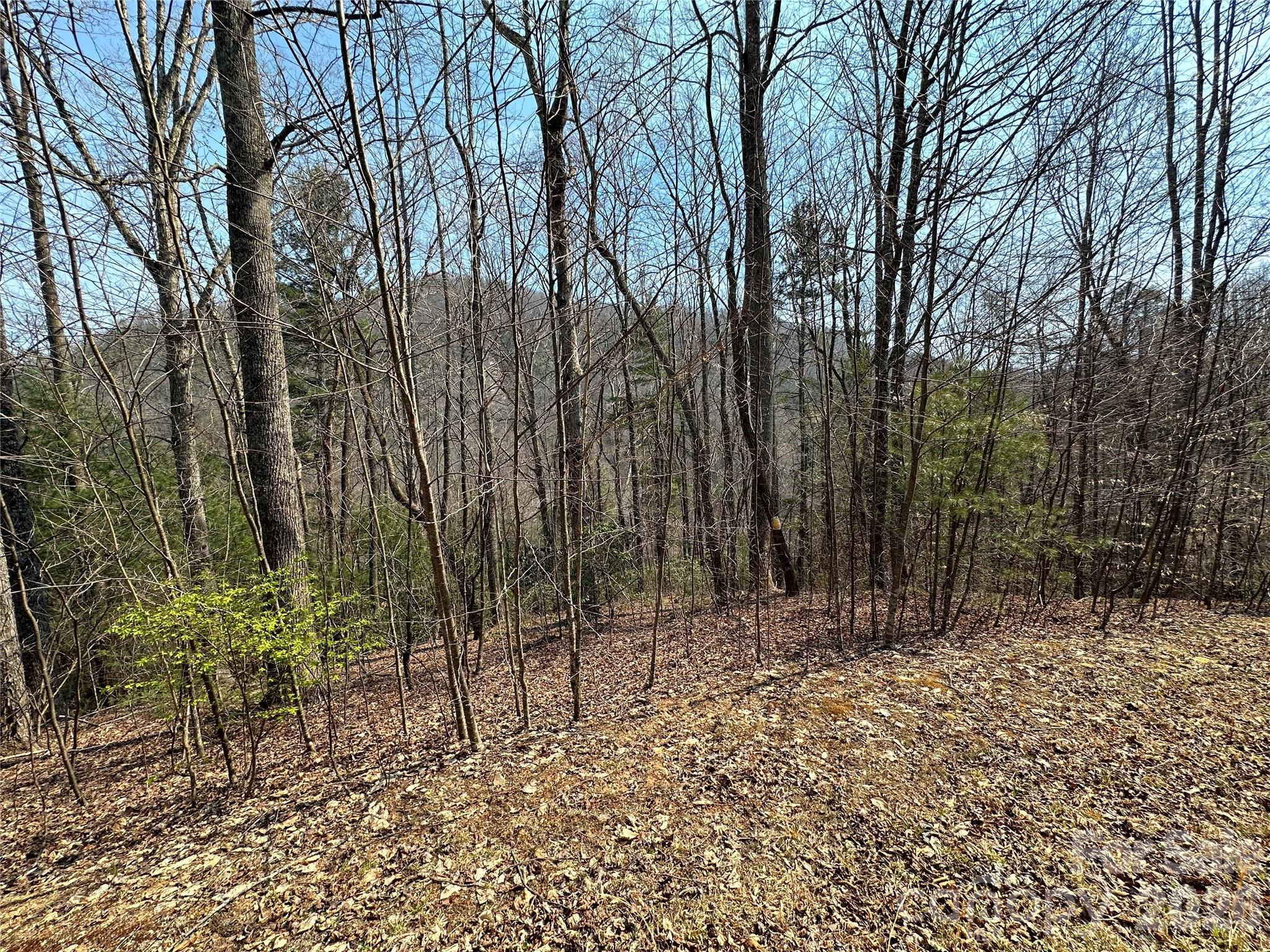 Tbd Wood Stone Drive Hendersonville NC 28792