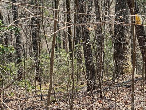 Tbd Wood Stone Drive Hendersonville NC 28792