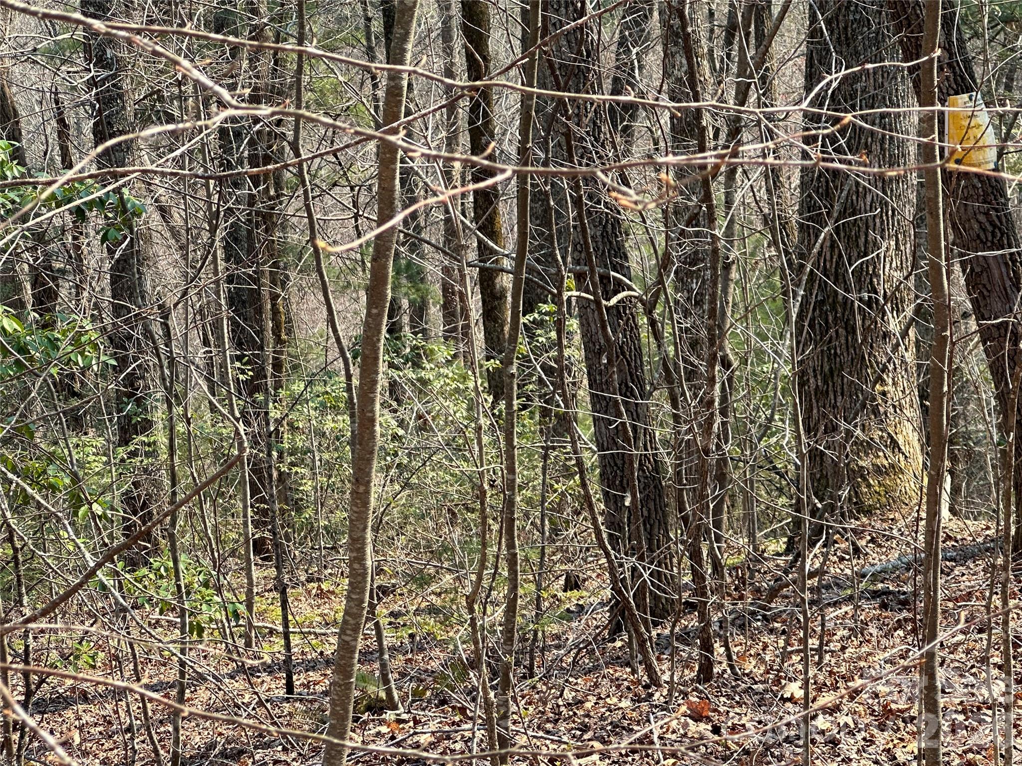 Tbd Wood Stone Drive Hendersonville NC 28792
