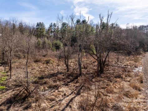 0 Woodland Drive Waynesville NC 28786