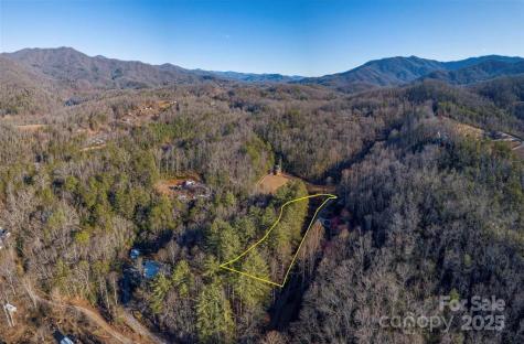 00 Cougar Lane Whittier NC 28789