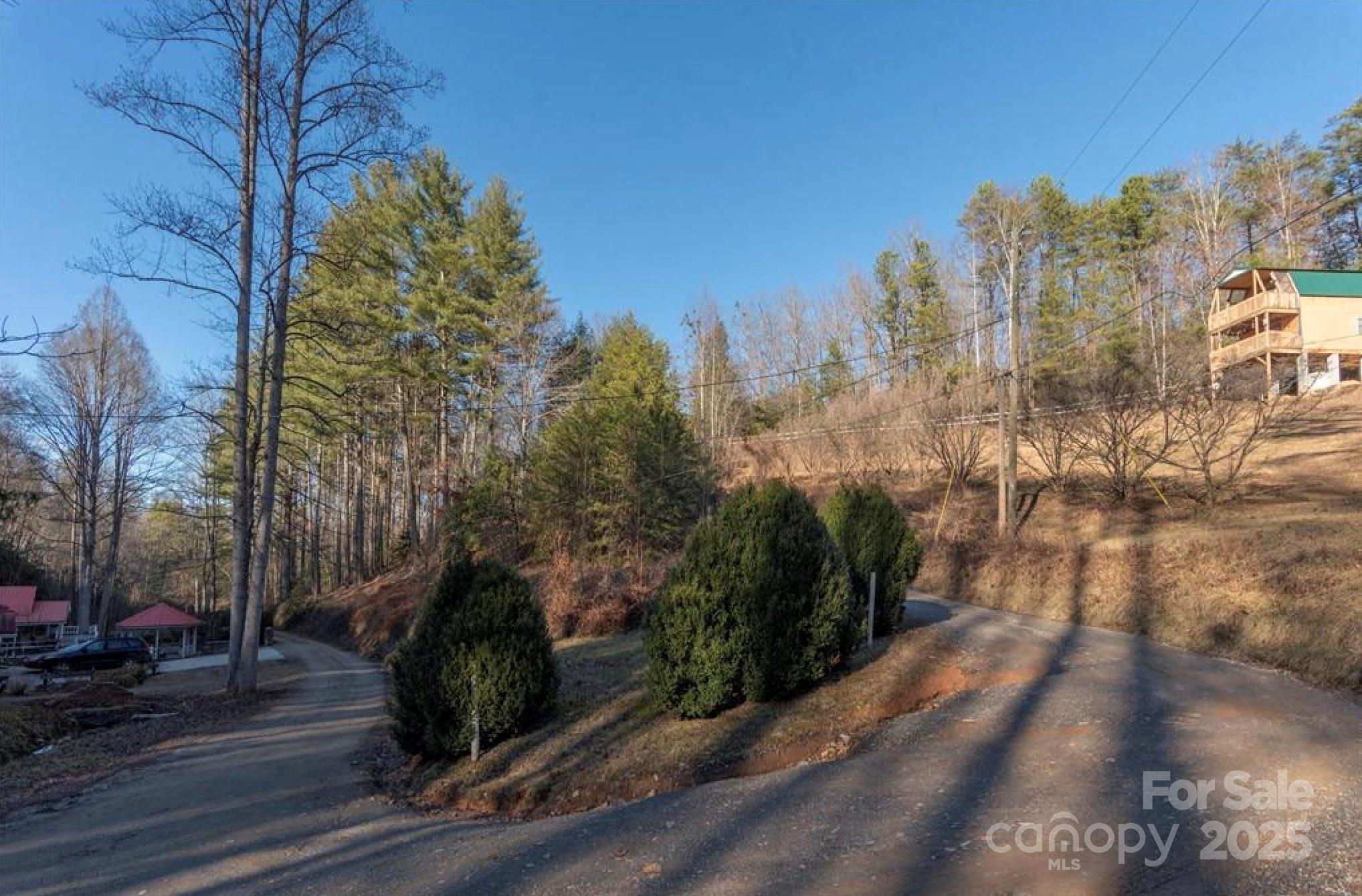 00 Cougar Lane Whittier NC 28789