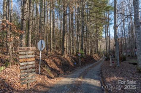 00 Cougar Lane Whittier NC 28789