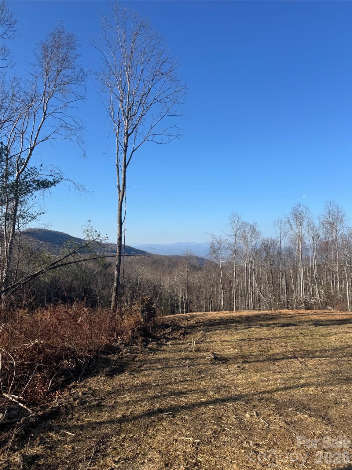 620 Dancing Bear Drive Hendersonville NC 28792