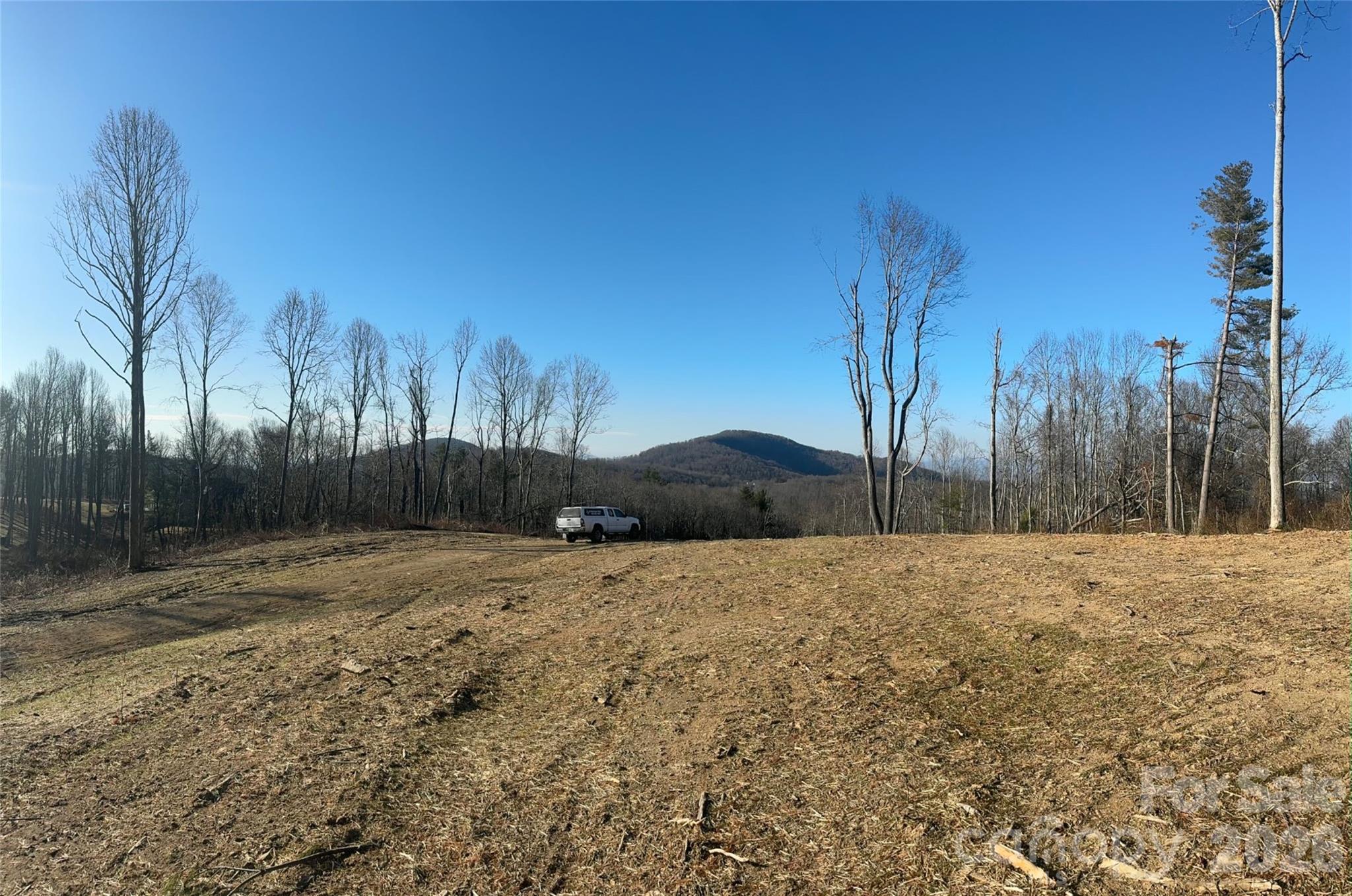 620 Dancing Bear Drive Hendersonville NC 28792
