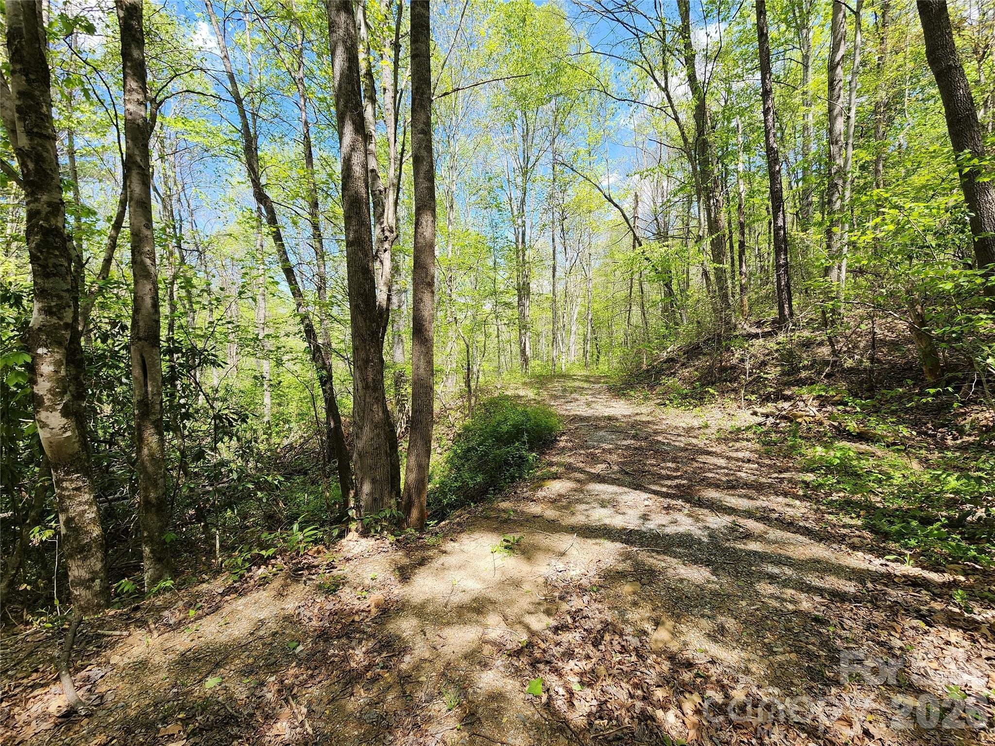 165 Wagon Wheel Way Canton NC 28716
