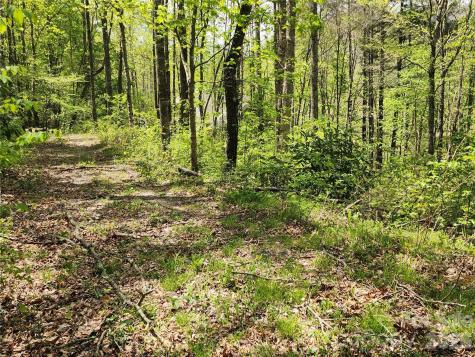 165 Wagon Wheel Way Canton NC 28716