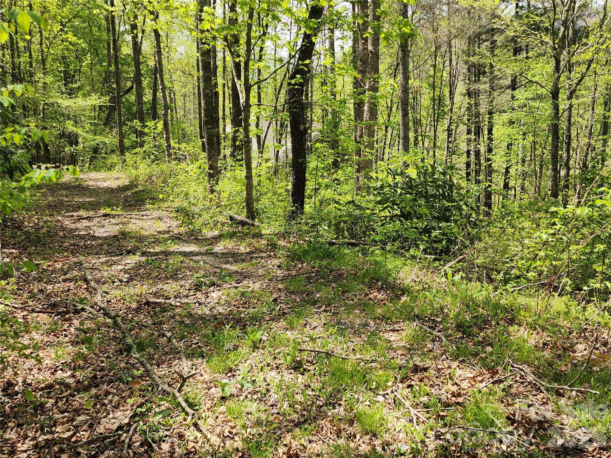165 Wagon Wheel Way Canton NC 28716