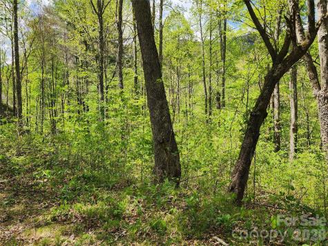 165 Wagon Wheel Way Canton NC 28716
