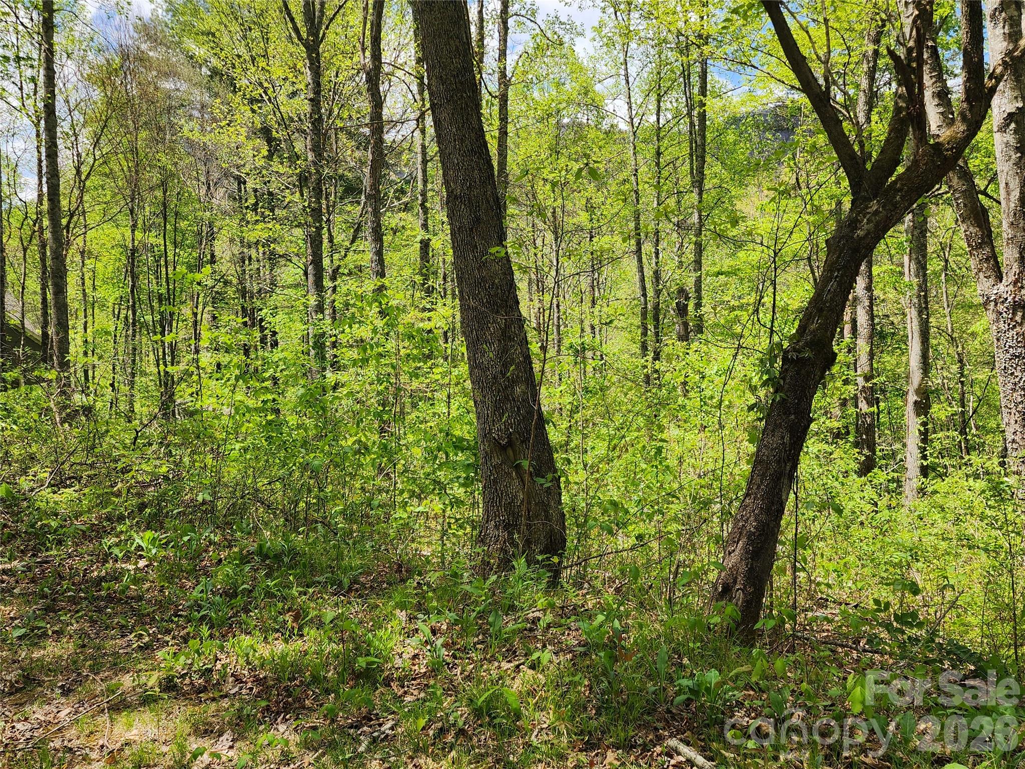 165 Wagon Wheel Way Canton NC 28716