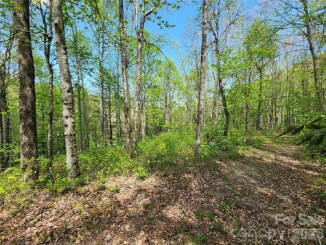 165 Wagon Wheel Way Canton NC 28716