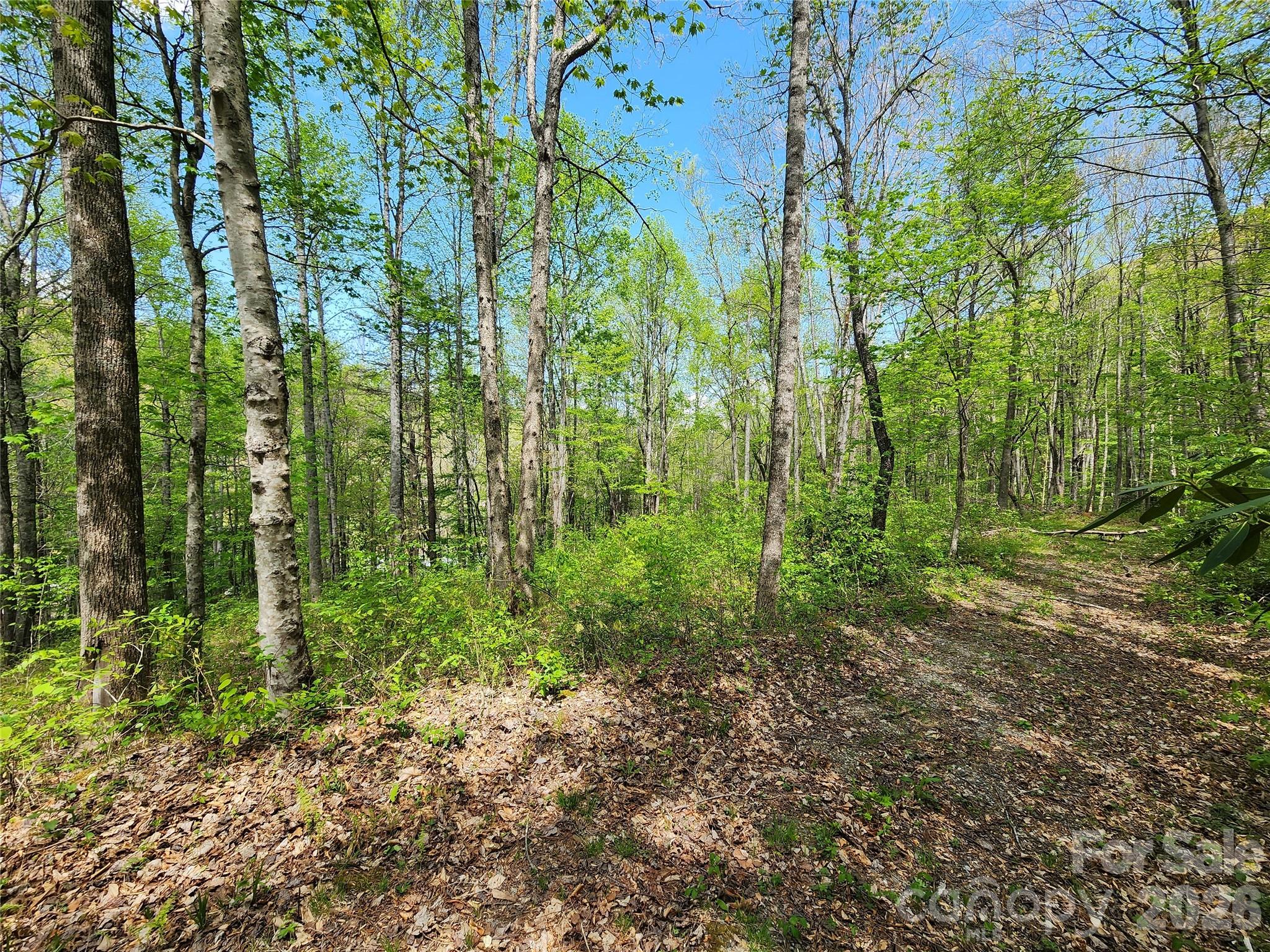 165 Wagon Wheel Way Canton NC 28716