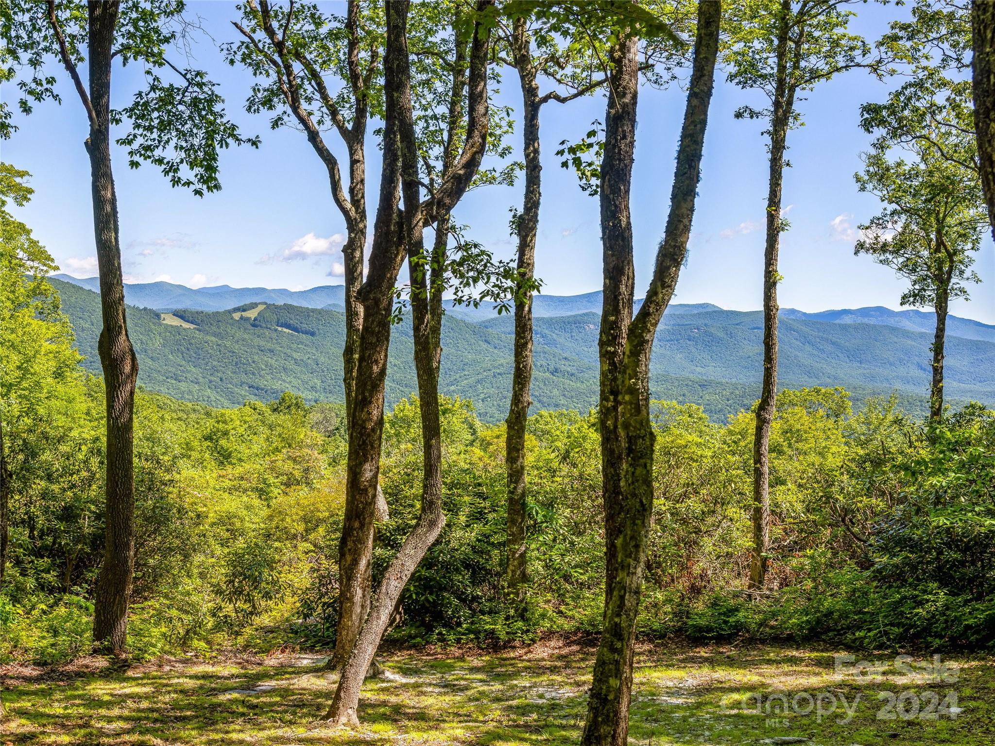 Ps 3 Panther Summit Drive Lake Toxaway NC 28747