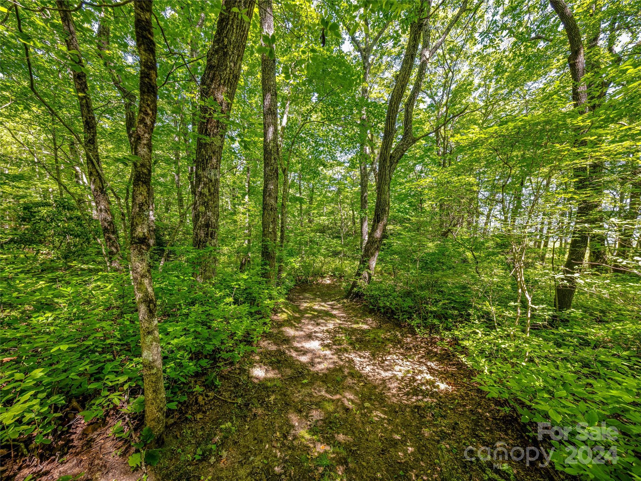 Ps 3 Panther Summit Drive Lake Toxaway NC 28747