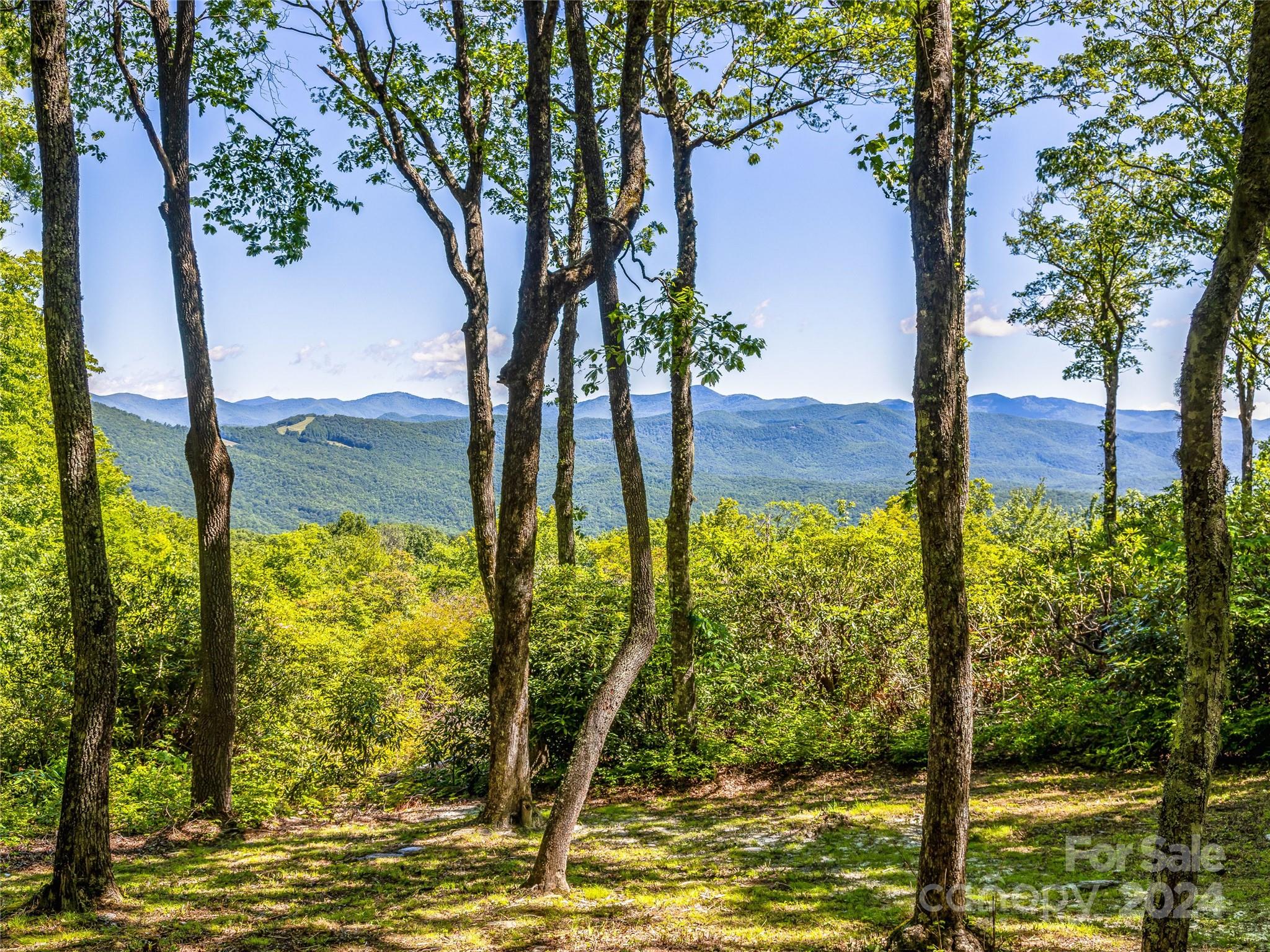 Ps 3 Panther Summit Drive Lake Toxaway NC 28747