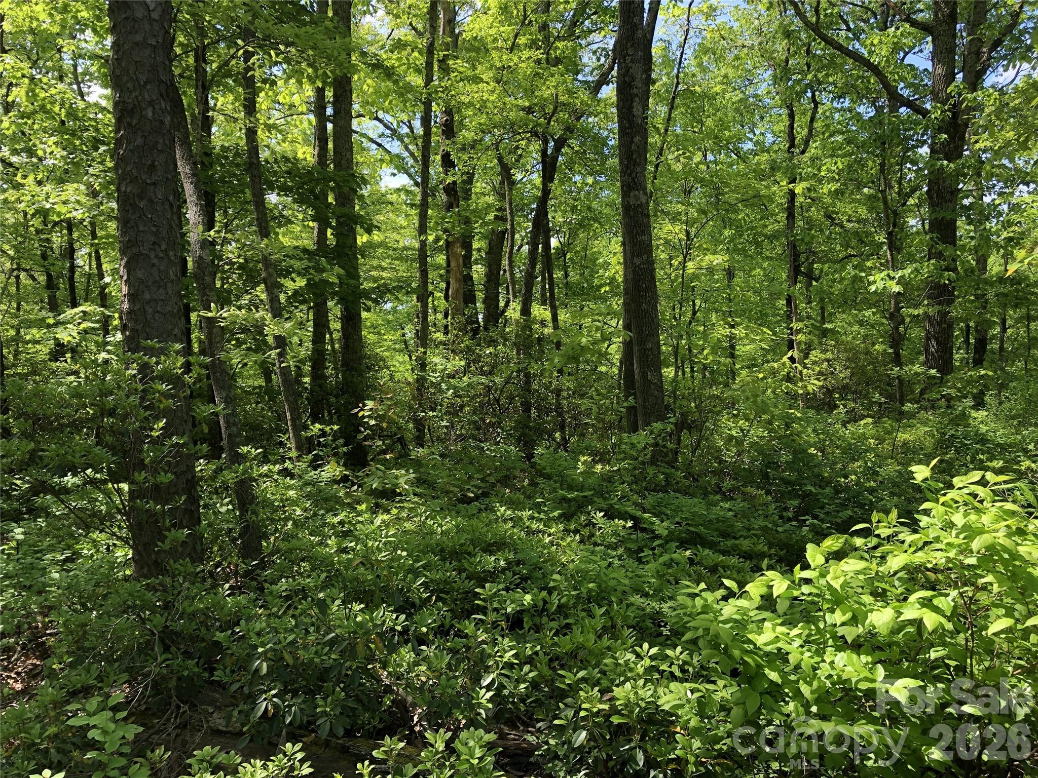 000 Millard Crossing Hendersonville NC 28792
