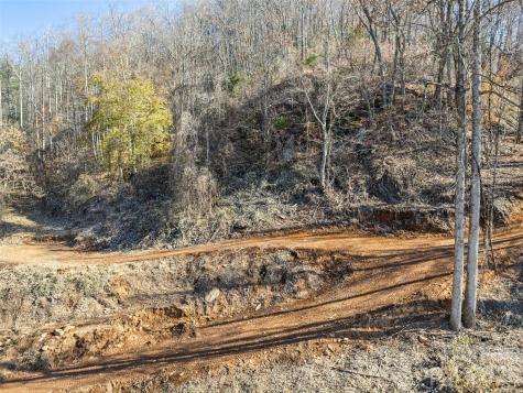Tract 3: Lot 4 White Birch Drive Sylva NC 28779