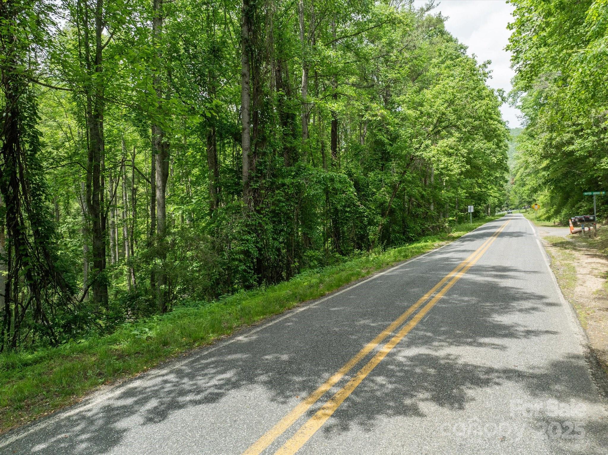 99999 Moody Cove Road Weaverville NC 28787