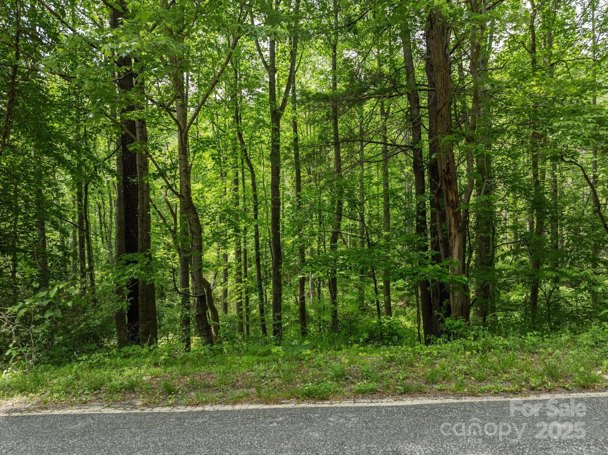 99999 Moody Cove Road Weaverville NC 28787