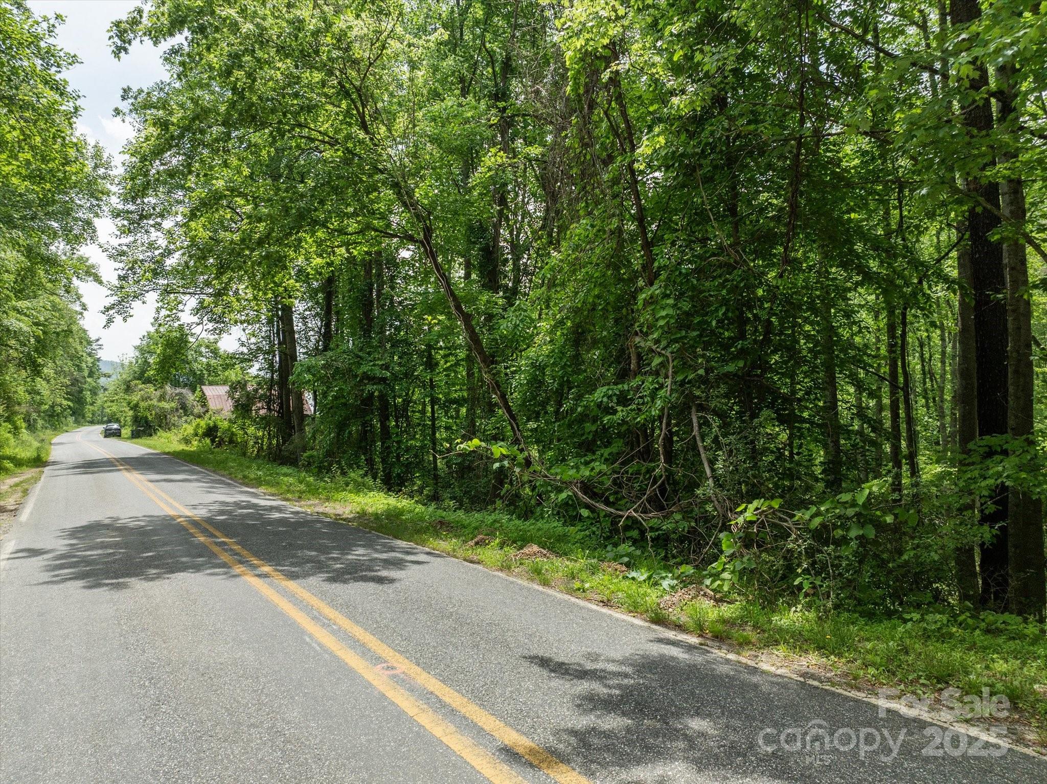 99999 Moody Cove Road Weaverville NC 28787