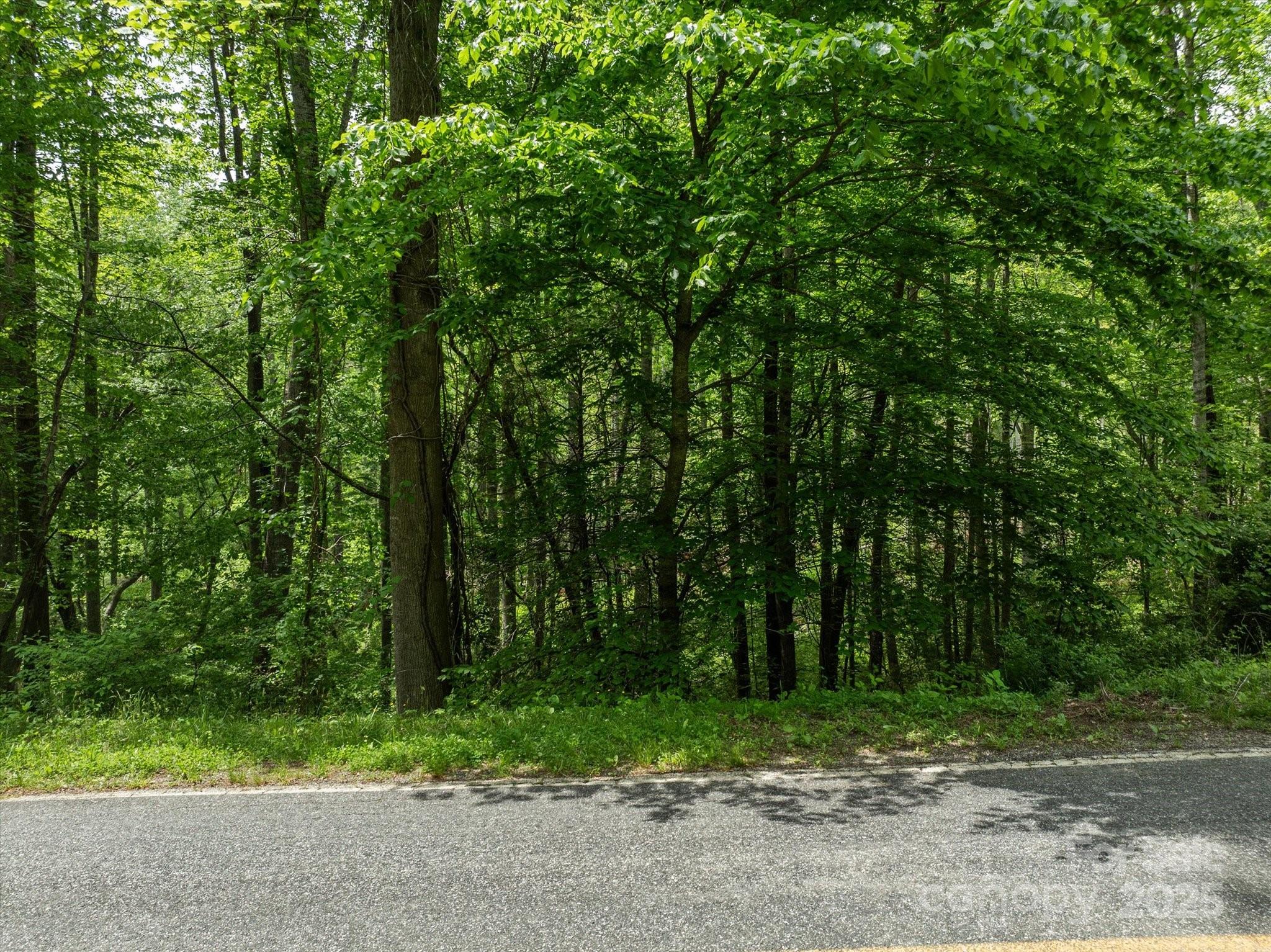 99999 Moody Cove Road Weaverville NC 28787