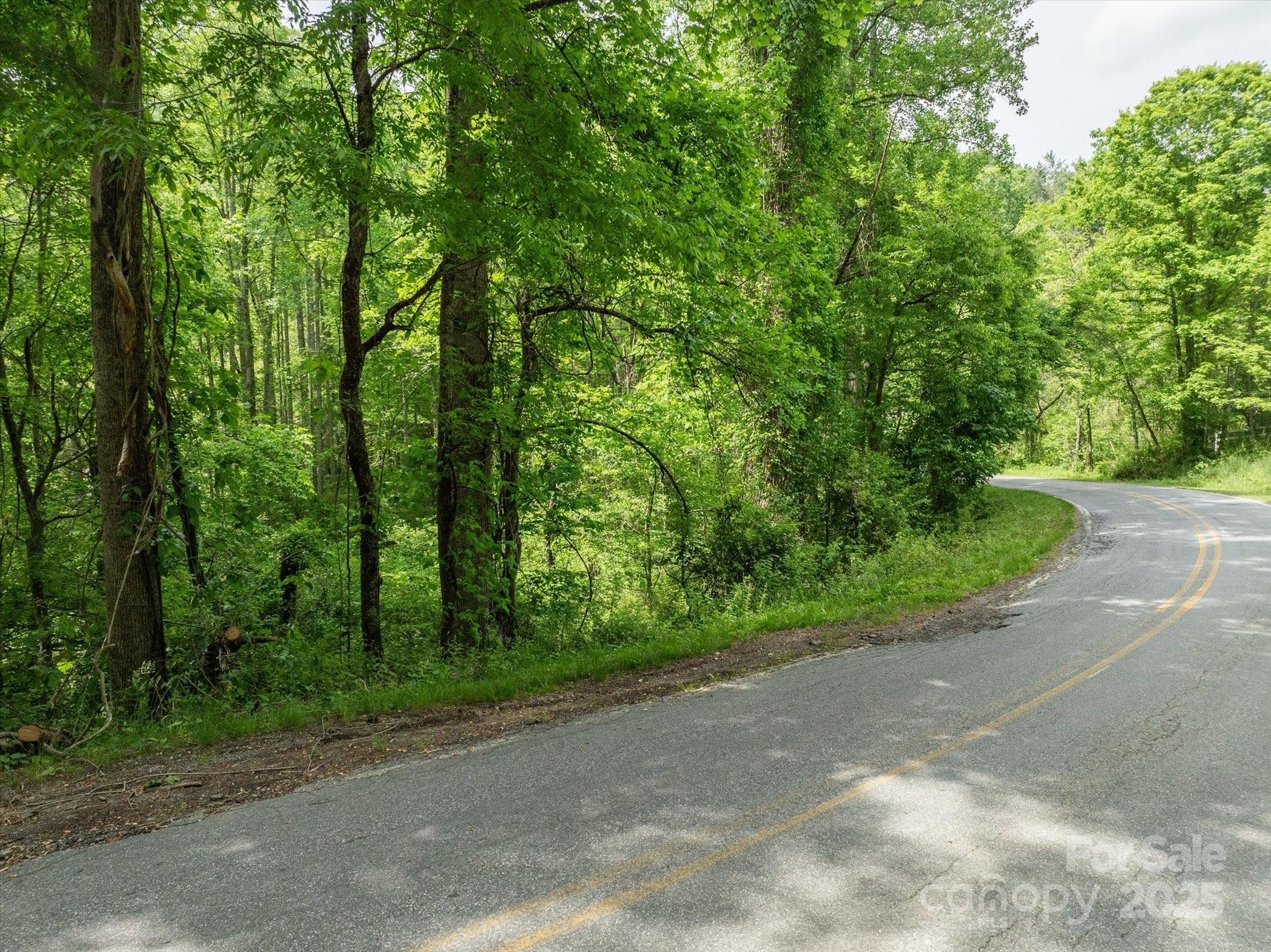 99999 Moody Cove Road Weaverville NC 28787