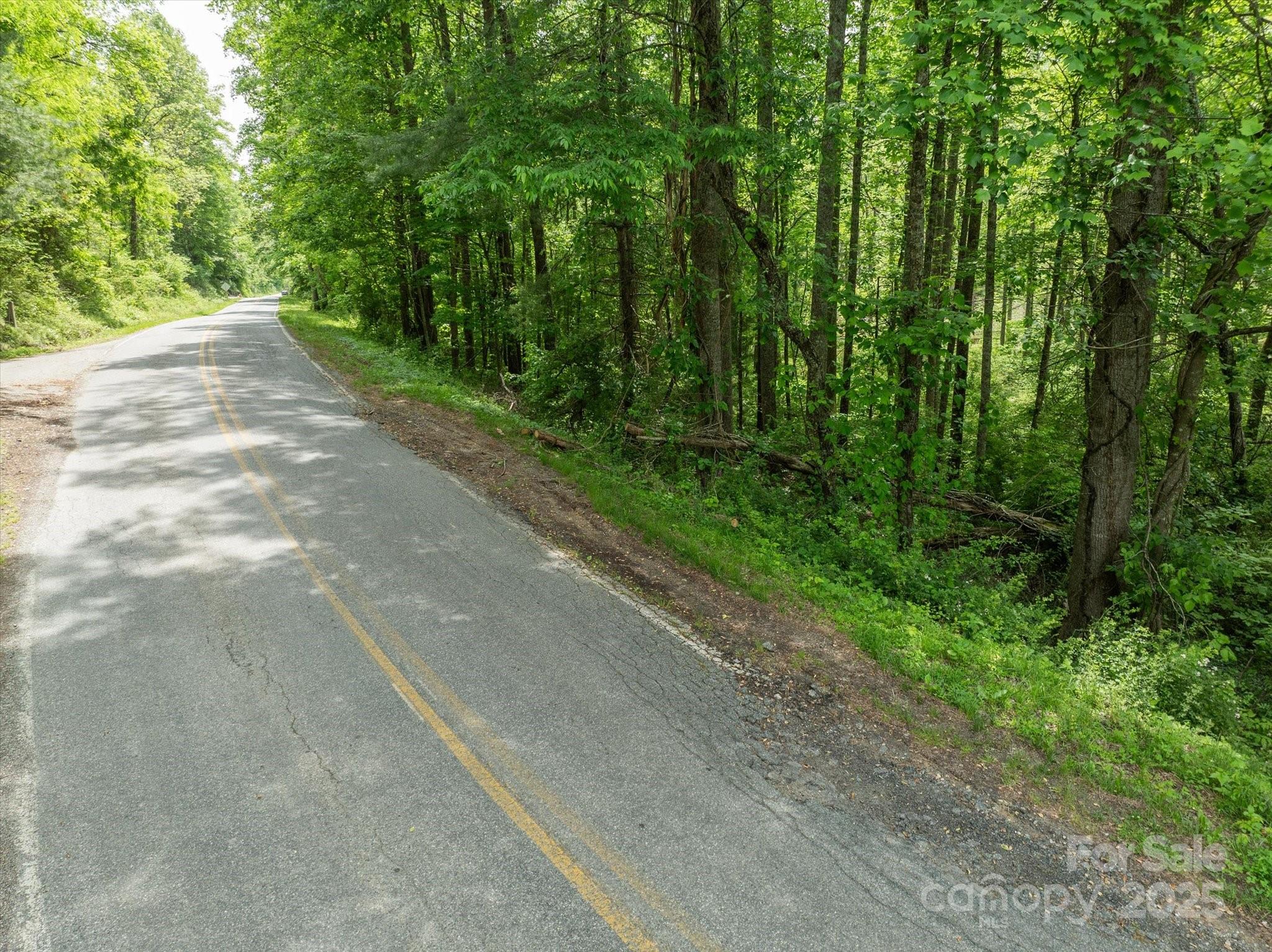 99999 Moody Cove Road Weaverville NC 28787