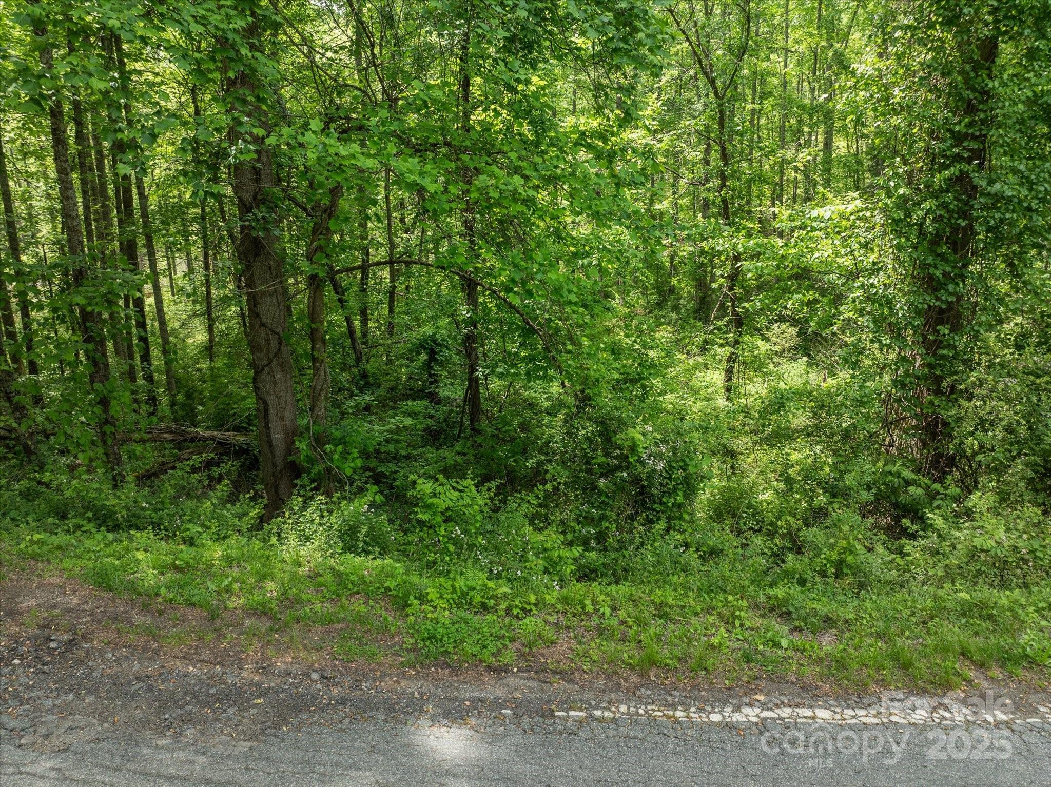 99999 Moody Cove Road Weaverville NC 28787