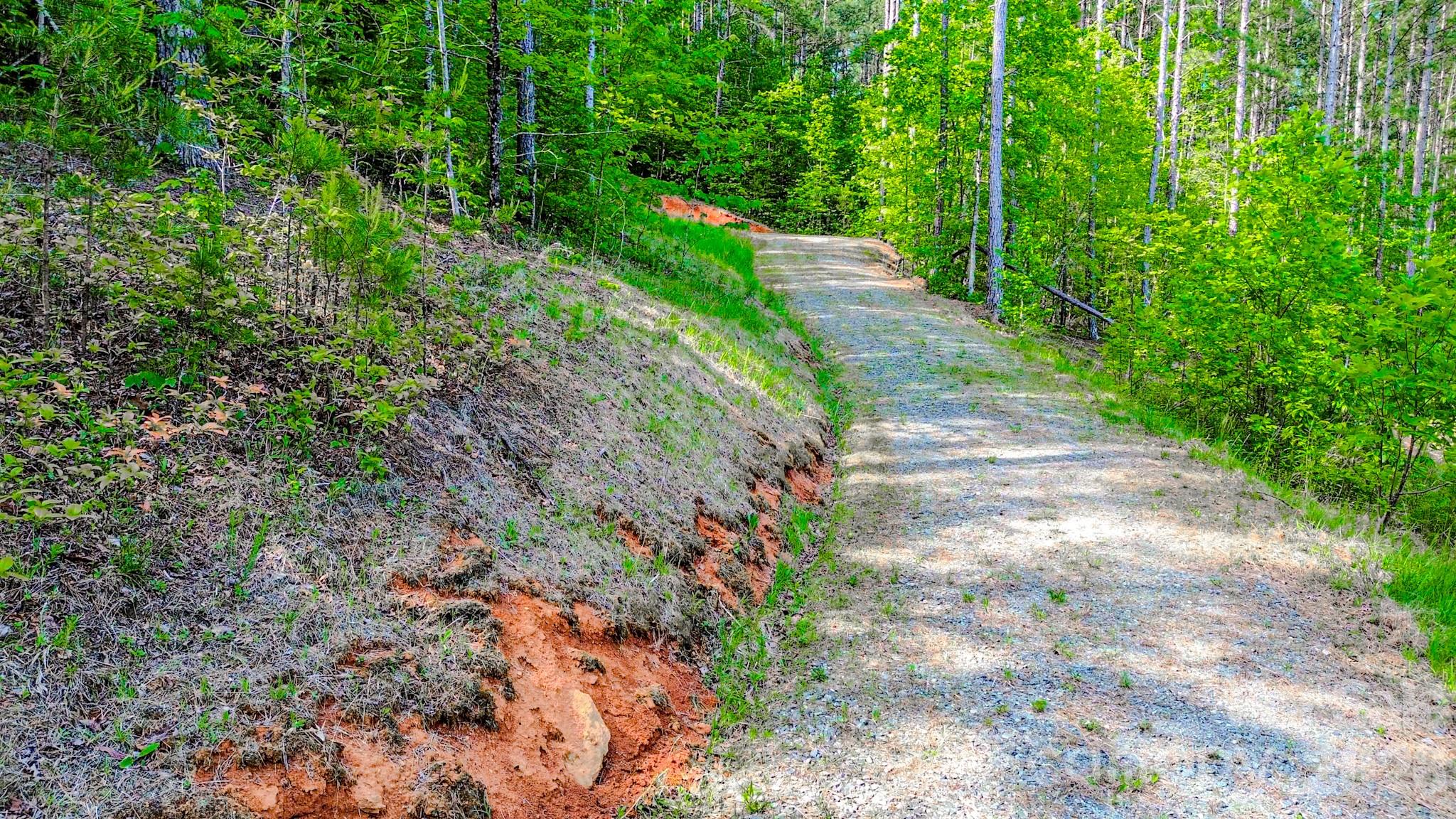 146 S Branch Drive Bostic NC 28018