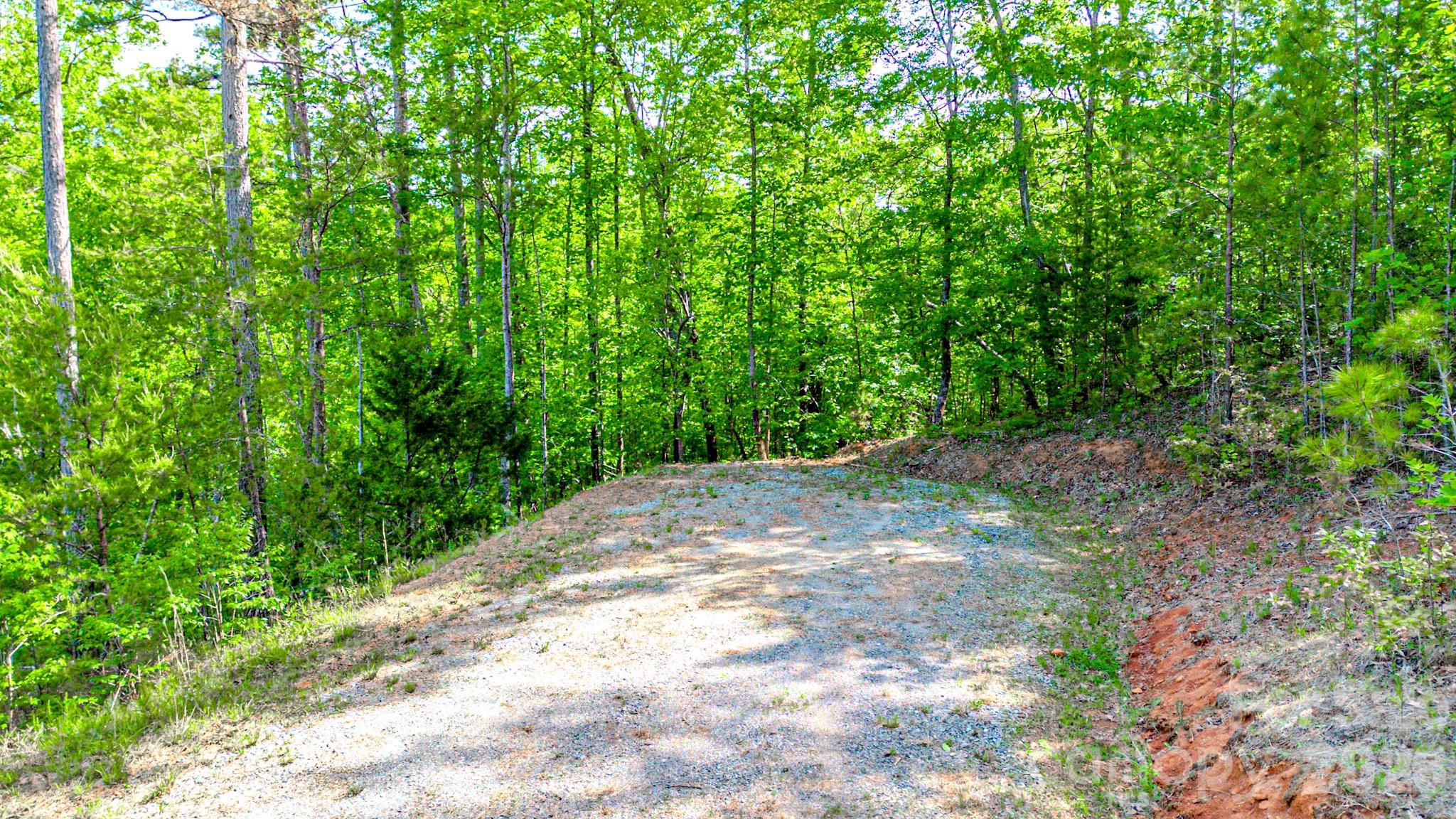 146 S Branch Drive Bostic NC 28018