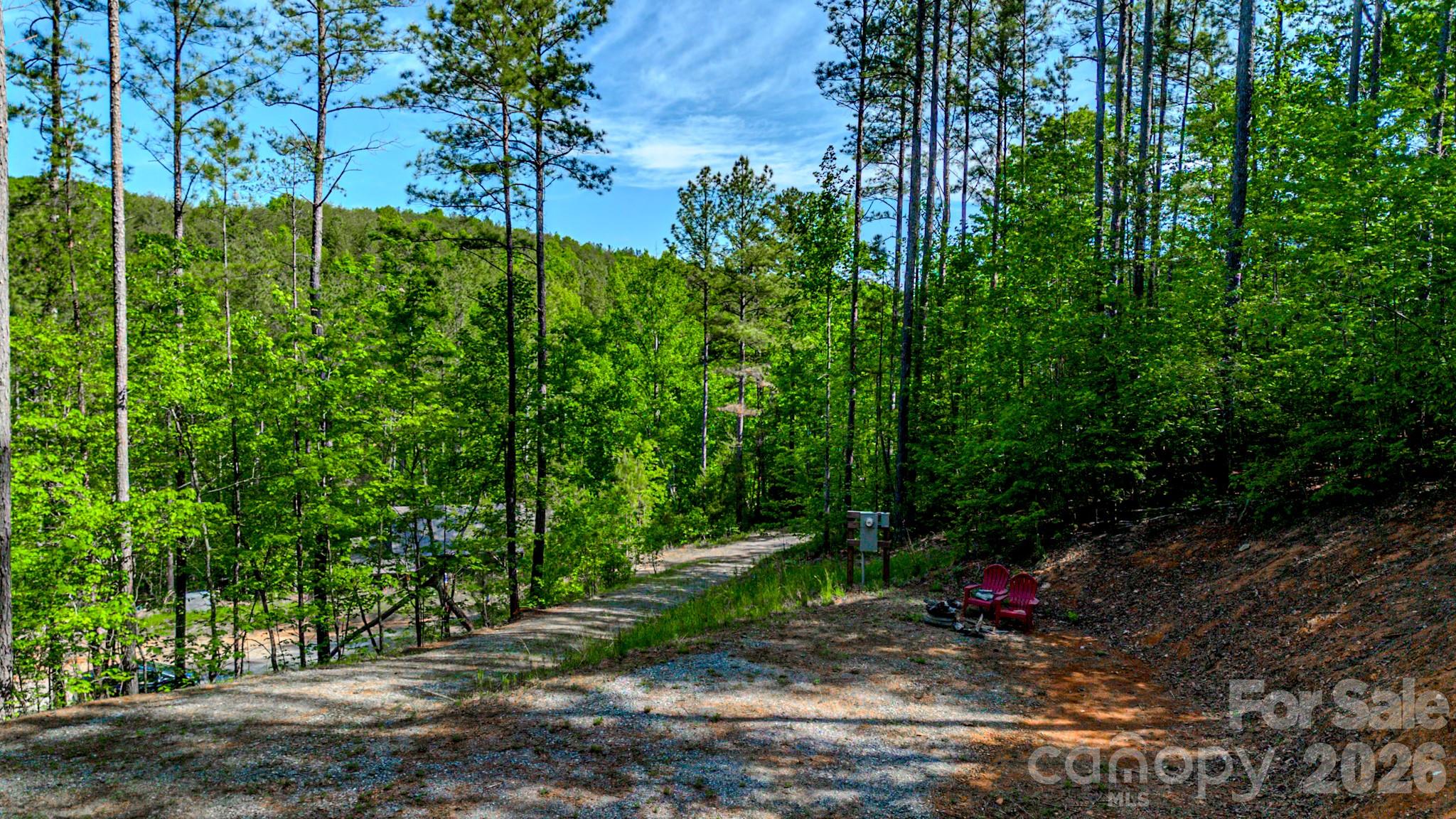 146 S Branch Drive Bostic NC 28018